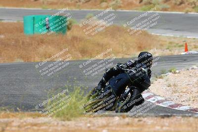 media/Jul-08-2023-2WTD (Sat) [[c8c0d2e149]]/C Group/1240pm (Turn 5)/
